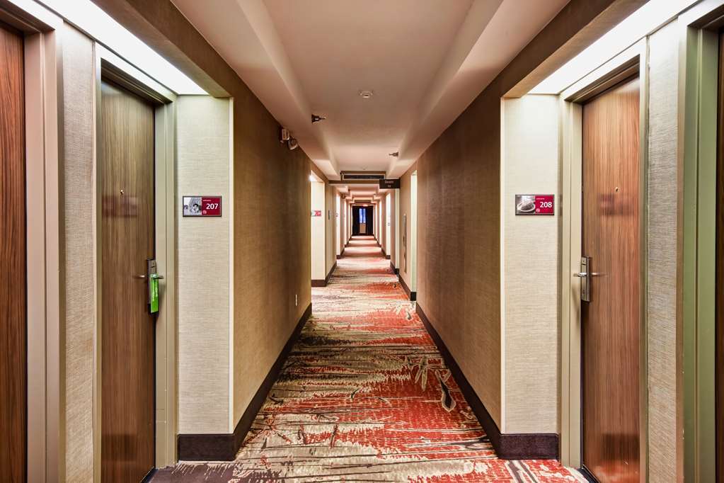Hampton Inn Starkville Wnętrze zdjęcie